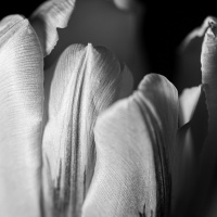 04 / 2021