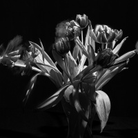 04 / 2021