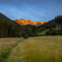 Peter_Jansen-11