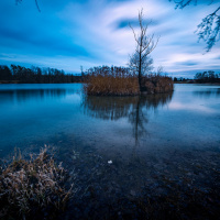 Peter_Jansen-16