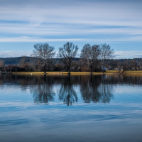 Peter_Jansen-19