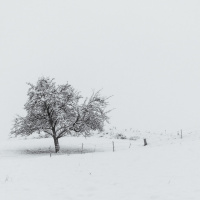 Peter_Jansen-8