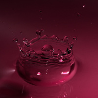 01 /24