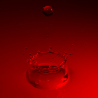 01 /24