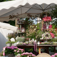 Rosenmarkt 2023