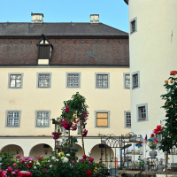 Rosenmarkt 2023