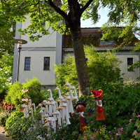 Rosenmarkt 2023