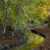 LFK-Fotos im Seniorenzentrum Laupheim / Foto Peter Wahlenmayer