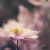 LFK-Fotos im Seniorenzentrum Laupheim / Foto Petra Gertitschke