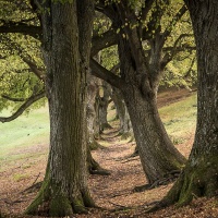 LFK-Fotos im Seniorenzentrum Laupheim / Foto Petra Gertitschke
