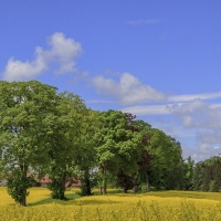 LFK-Fotos im Seniorenzentrum Laupheim / Foto Petra Gertitschke