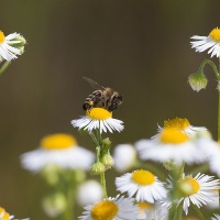 LFK-Fotos im Seniorenzentrum Laupheim / Foto Frank Winkler