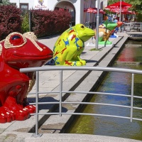 LFK-Fotos im Seniorenzentrum Laupheim / Foto Otto Marx