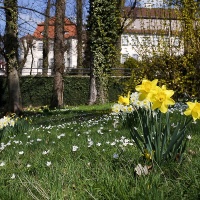 LFK-Fotos im Seniorenzentrum Laupheim / Foto Otto Marx