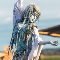 Dirk_Zimmermann-Spektakulum