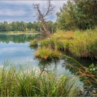 Natur und Kultur - Vereinsausflug 2015 / Foto Dirk Zimmermann