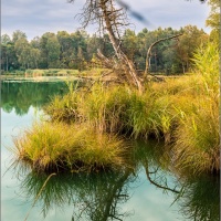 Natur und Kultur - Vereinsausflug 2015 / Foto Dirk Zimmermann