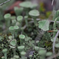 Natur und Kultur - Vereinsausflug 2015 / Foto Otto Marx