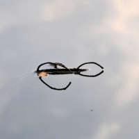 Natur und Kultur - Vereinsausflug 2015 / Foto Otto Marx