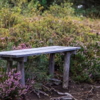 Natur und Kultur - Vereinsausflug 2015 / Foto Petra Gertitschke