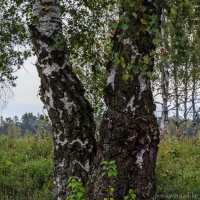 Natur und Kultur - Vereinsausflug 2015 / Foto Petra Gertitschke