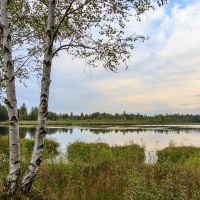 Natur und Kultur - Vereinsausflug 2015 / Foto Petra Gertitschke