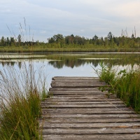 Natur und Kultur - Vereinsausflug 2015 / Foto Petra Gertitschke