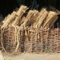 Birgit Ehrenberg - Campus Galli 2019