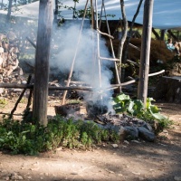 Karin Garcia - Campus Galli 2019