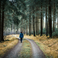 50mm - Peter Jansen