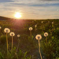 331_Natur_04