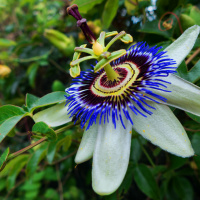 85_MAKRO-03