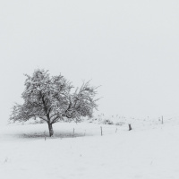 Peter Jansen - Freies Thema 04