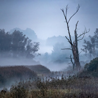 Robert Span - Lichtstimmung bei Sonnenaufgang 02