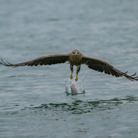 Manfred Weiner - Freies Thema 02