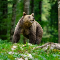 Manfred Weiner - Freies Thema 04