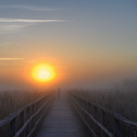 Heinz-Gerhard Ott - Lichtstimmung bei Sonnenaufgang 03