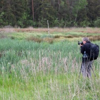 Peter Jansen