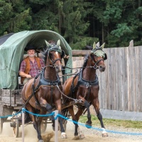 Winnetou I / Foto Dirk Zimmermann