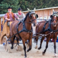 Winnetou I / Foto Dirk Zimmermann