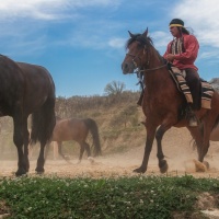 Winnetou I / Jannick Konstroffer