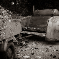 Ausflug nach Wolfegg - Carmen Schanz