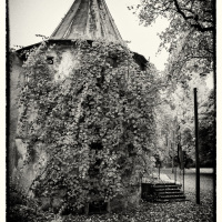 Ausflug nach Wolfegg - Frank Gramlich