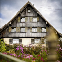 Ausflug nach Wolfegg - Frank Gramlich