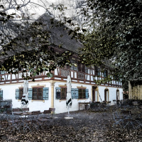 Ausflug nach Wolfegg - Peter Wahlenmayer