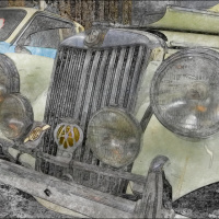 Ausflug nach Wolfegg - Peter Wahlenmayer